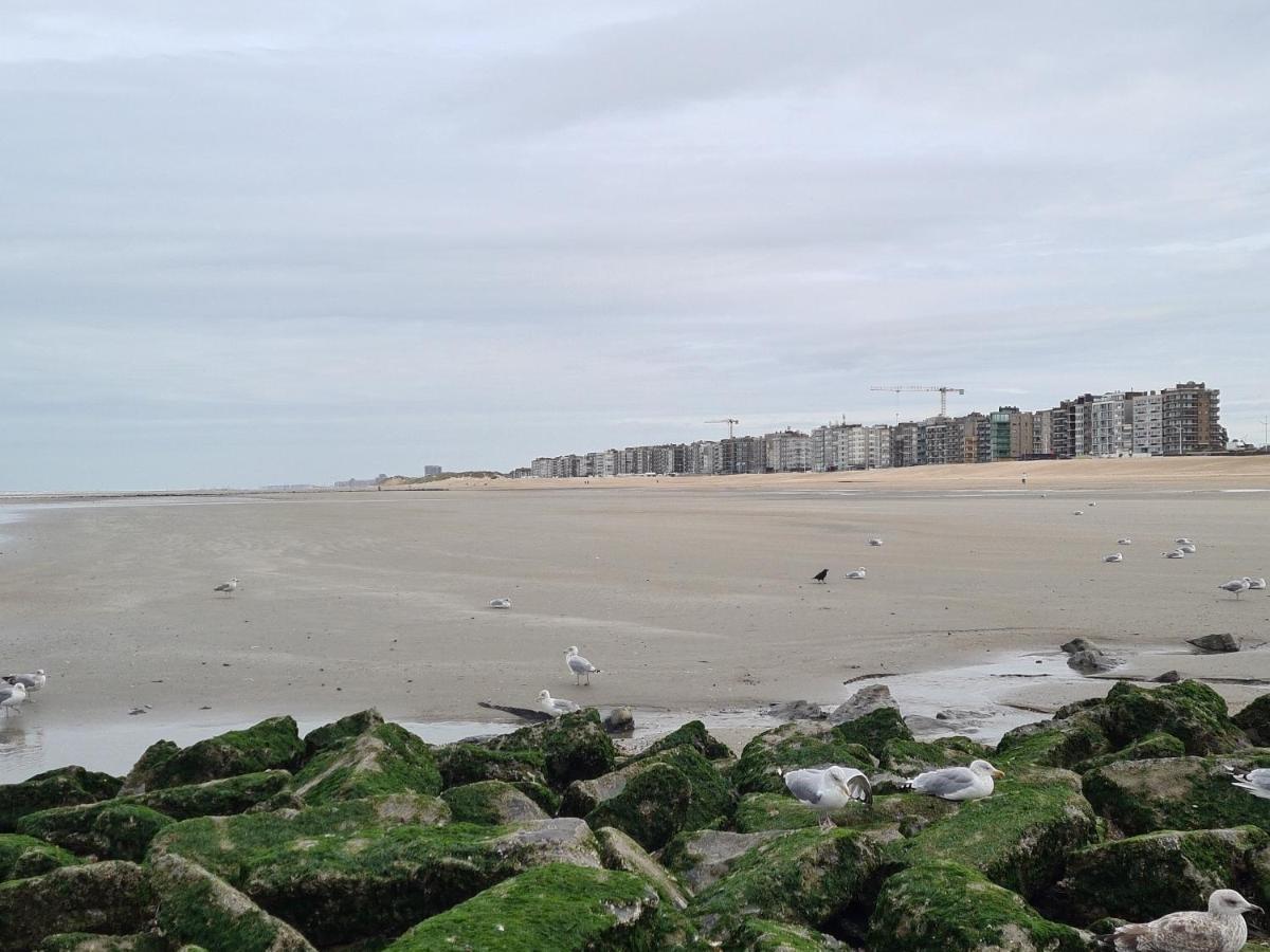 Residence Jersey Koksijde Zewnętrze zdjęcie